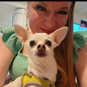 Meet your Posher, Sarah m